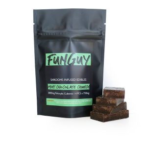 FunGuy – Mint Chocolate Crunch 3000mg