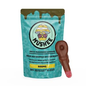 Magic Mushroom Sour Key Chocolate Dipped- 500MG – Mushee