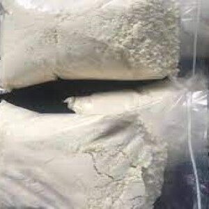 Best Prices for 100 G 5C AKB48